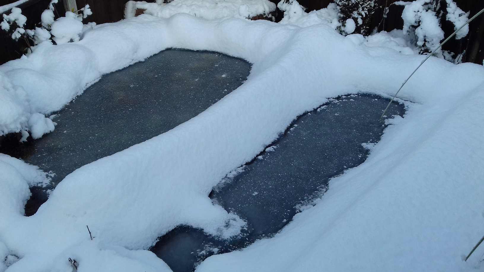 ImagesGarden/2017-12 Snow On Pond.jpg
